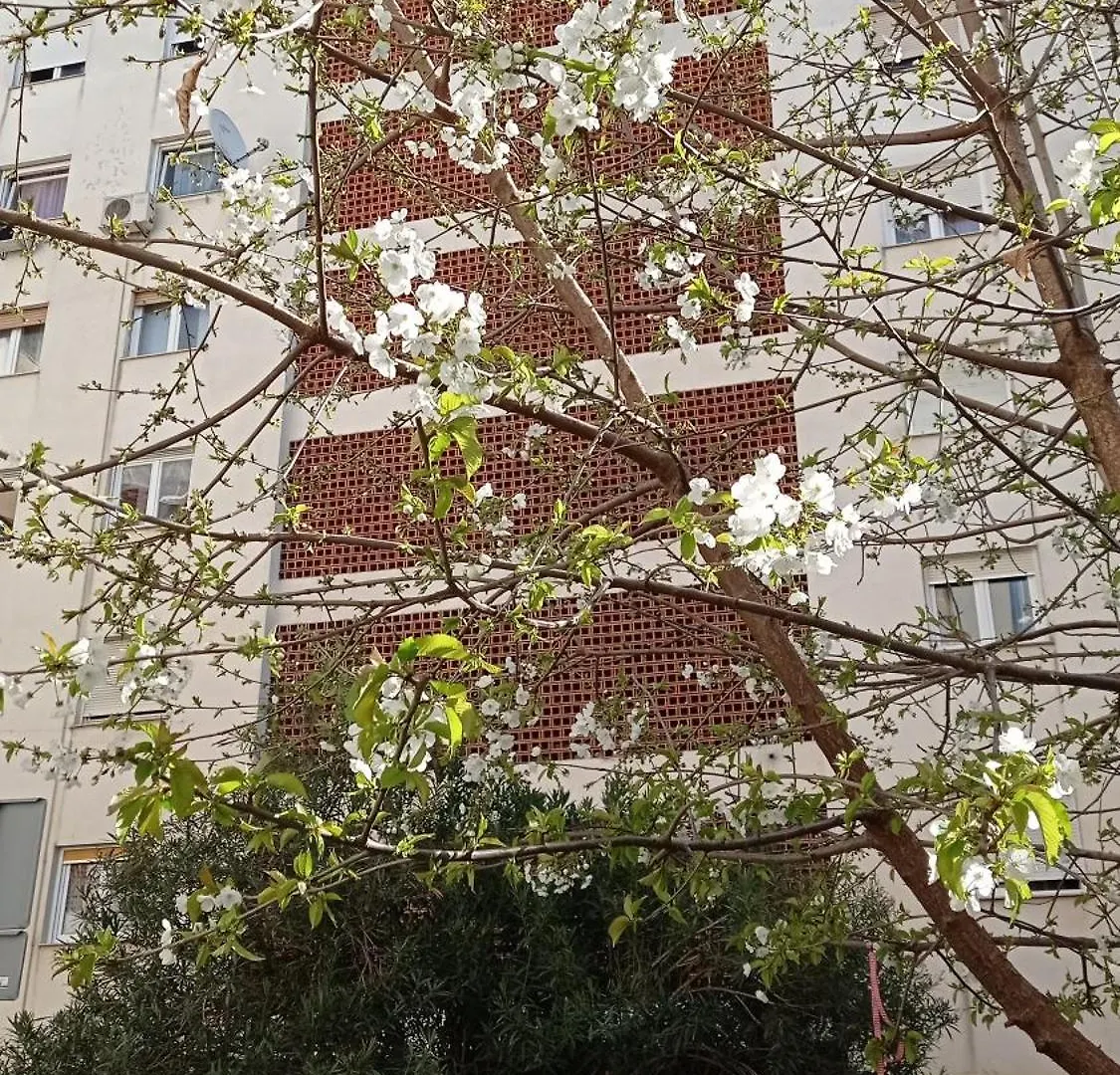 Apartmán App Letta Sunset Pula Chorvatsko