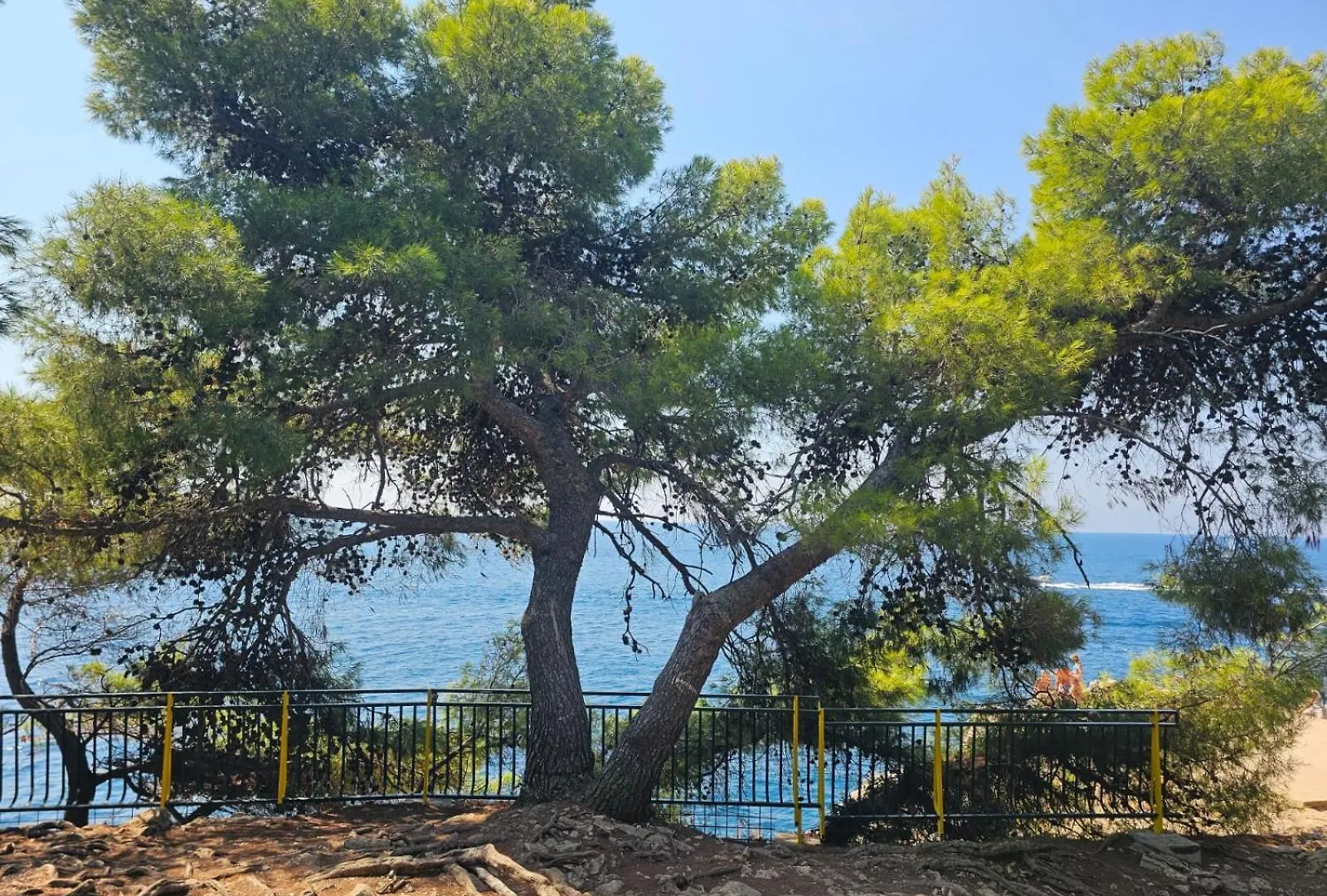 Apartmán App Letta Sunset Pula